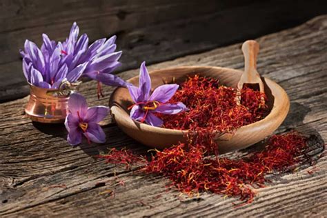 Saffron Vs Safflower: 4 Key Differences Between The .